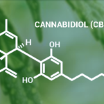 cannabidiol-cannabidiolo