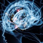 http_media-s3.blogosfere.itscienzaesalute222bcervello-epilessia-620x350