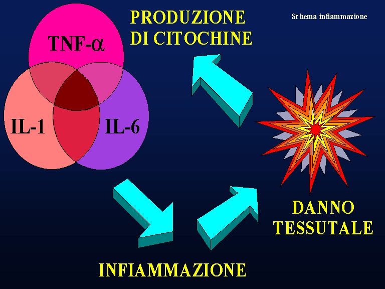 Infiammazione: scoperte recentemente nuove sostanze antinfiammatorie infiammazione