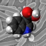metabolitess