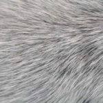 newstudylink