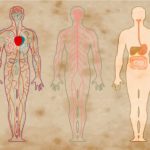 schizophrenia-body-brain-neuroscinecneews