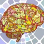 memory-off-switch-protein-neuroscincenews-public-300x212