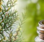 teatreeoilacnedermatiteseborroica746x2685