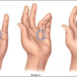 CroppedImage720439-untitled760