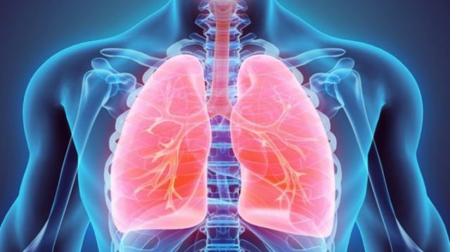 Farmaco per la terapia con cellule staminali può proteggere dai sintomi della BPCO BPCO