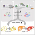 PowerPoint Presentation