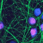 180801160022_1_540x360