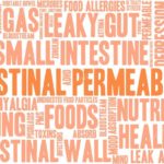 depositphotos_88592078-stock-illustration-intestinal-permeability-word-cloud