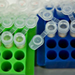 Insulin_336