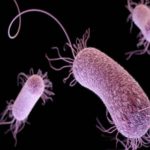 superbug-reuters