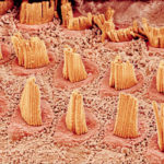 152503467-56551792-dc03-4138-b4e3-197053aad9c6