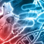 f0c95c82-e03e-4144-b007-0dbed3afd0f1