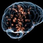 2-brain