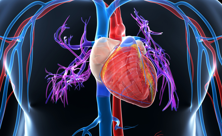Nell’insufficienza cardiaca, un cuore più forte potrebbe significare sintomi peggiori insufficienza cardiaca