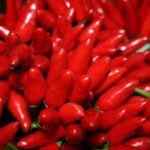 peperoncino-k1P-U432701035340843BQG-593x443@Corriere-Web-Sezioni