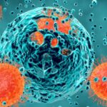 1541185212546.jpg--cancro__la_nuova_scoperta_rivoluzionaria__si_puo_sconfiggere_con_l_immunoterapia