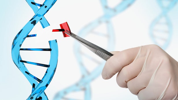 Una nuova ricerca potrebbe perfezionare le forbici genetiche CRISPR CRISPR