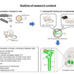 3-researcherso