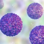 Pegivirus, or Hepatitis G virus