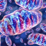 73_MalattieMitocondriali01