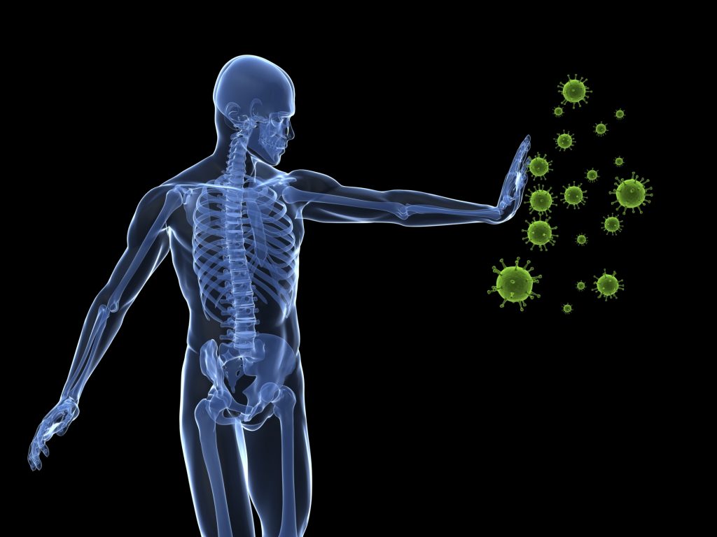 Sistema immunitario, CRISPR rivela la vita segreta dei peptidi antimicrobici sistema immunitario