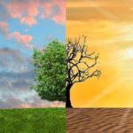cambiamenti-climatici