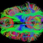 121620561-22023aab-4e58-484e-989c-393f1e522e8f