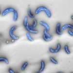 190401171343_1_900x600