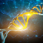 190404135433_1_900x600