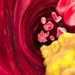 LDL1063595057_900x500
