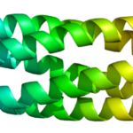 Protein_COMP_PDB_1fbm
