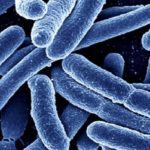 superbatteri-morti-cancro-2050-1200x799