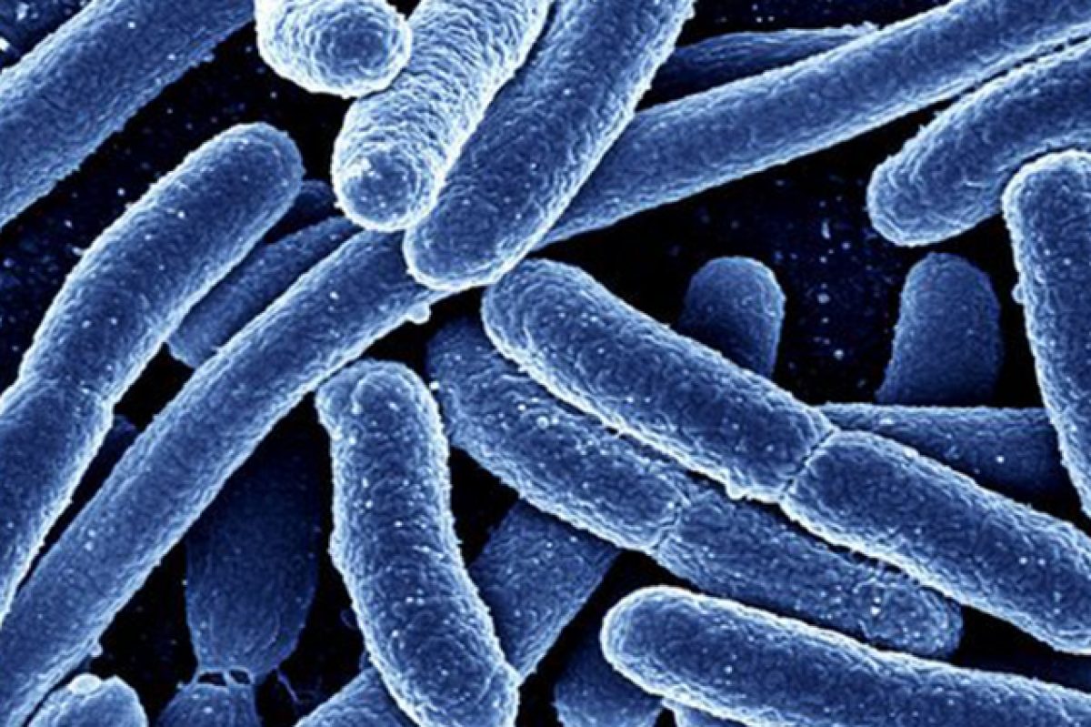 Combattere i “superbatteri” con luce blu superbatteri