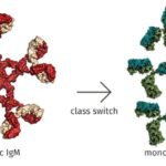 tetproteinsr