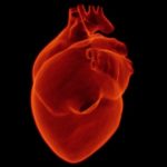 heart1767552_1920