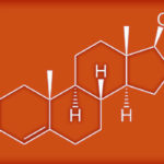 15573590087_b1f3f7133c_b