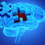 Sugar-s-sweet-spot-link-to-Alzheimer-s-disease-discovered_wrbm_large