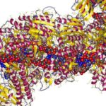 crispr (1)
