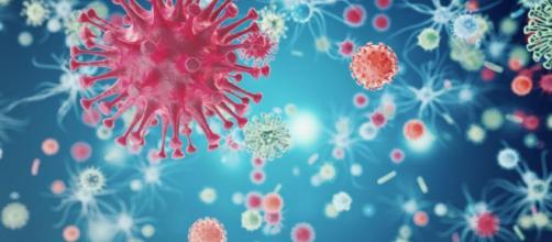 Vaccino contro l’HIV si avvicina alla sperimentazione clinica HIV