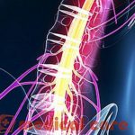 spinal-cord-injury