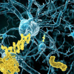 190812144930_1_900x600