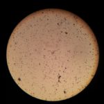 bacteria-1108543_1920_1566310115