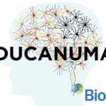 191014111737_1_540x360