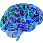 brain-951874_1920_internook