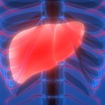 i-tumori-del-tratto-epatobiliare-fegato