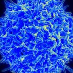 tcell