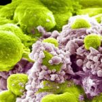 2f902083211039ea51735ee86a4ebacd