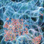 microbiome-cortisol-neuroscincenews-public