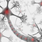 sla3-kDoH-U4319011650262770QH-593x443@Corriere-Web-Sezioni